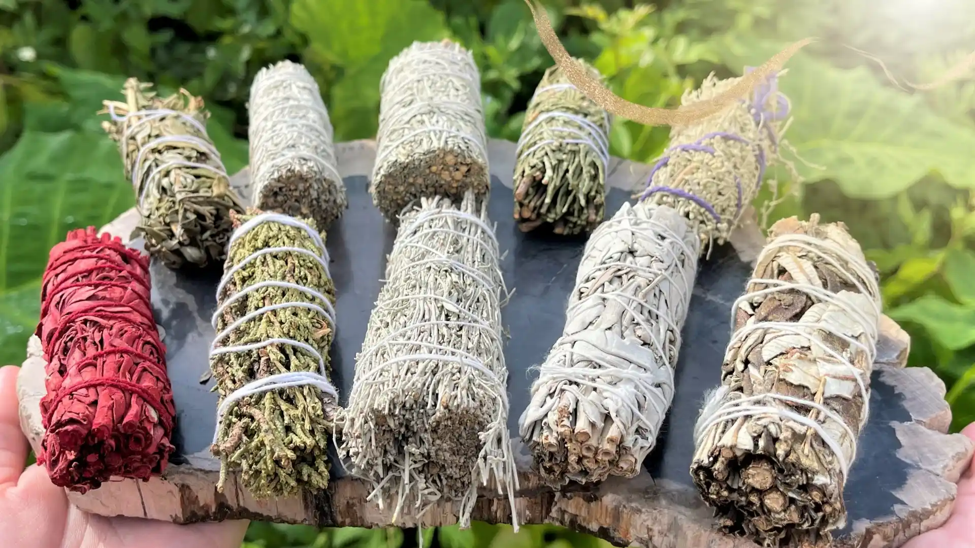 انواع اسماج گیاهی