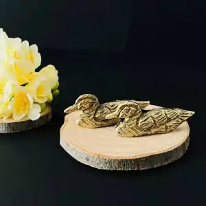 عکس اردک ماندارین برای جذب عشق