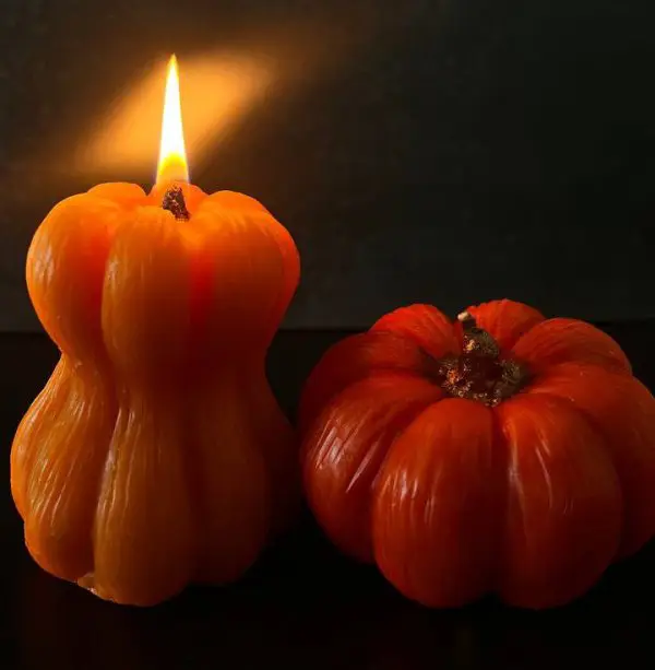 کدو یلدایی پدر و مادر