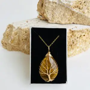 مدال توری چشم ببر