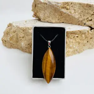 مدال برگی چشم ببر