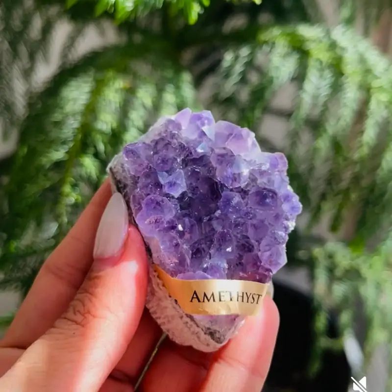 راف برزیلی آمیتیست - تصویر 3