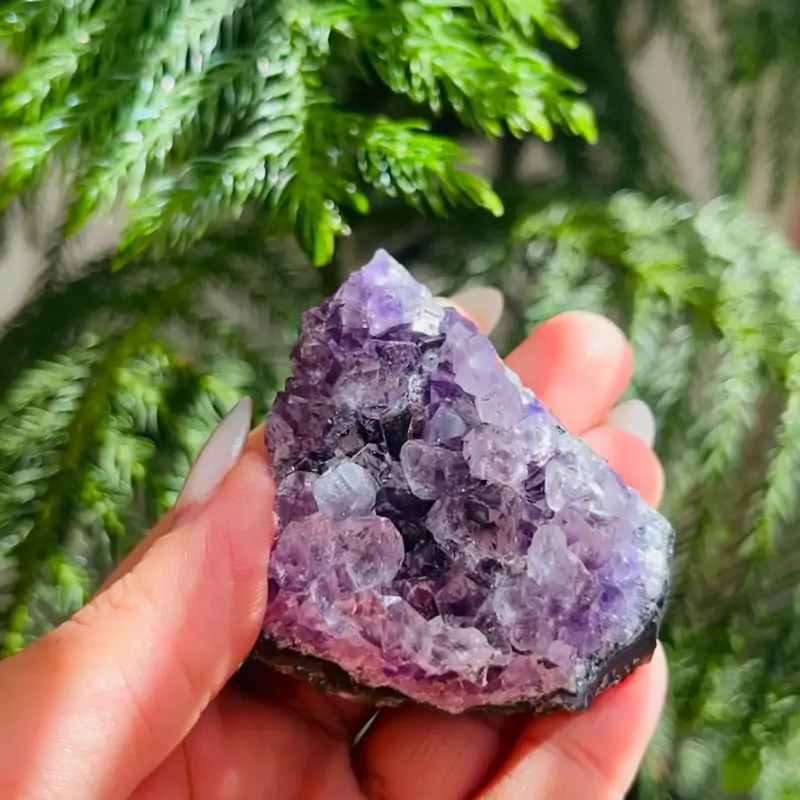 راف برزیلی آمیتیست - تصویر 2