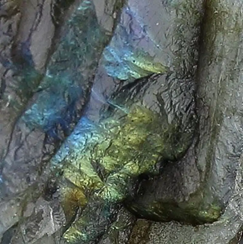 دستبند لابرادوریت