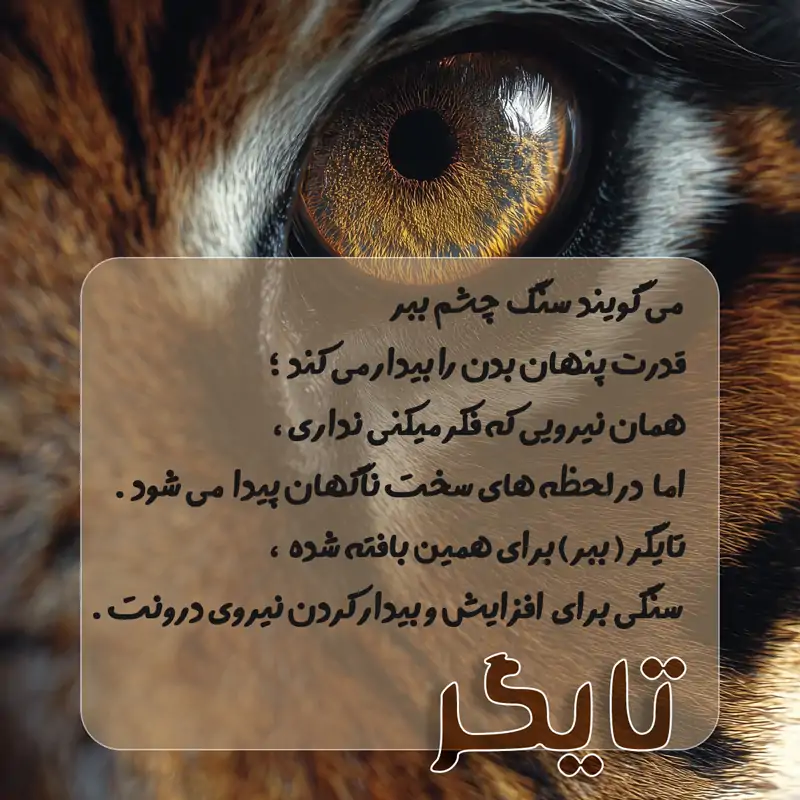 دستبند تایگر - تصویر 2