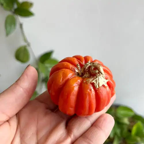 شمع کدو کوچولو