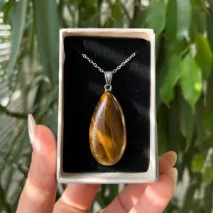مدال قطره چشم ببر